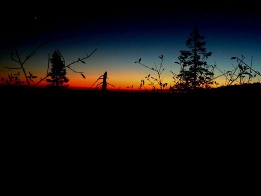 Sonnenuntergang im Sequoia NP
Schlüsselwörter: Sequoia NP