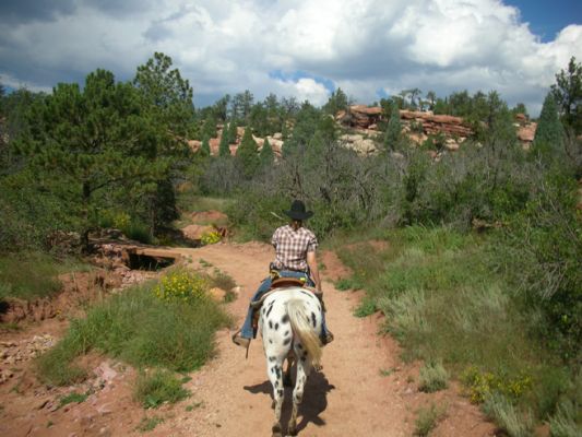 Garden of the Gods
