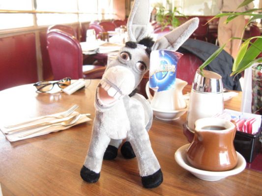 Donkey + Breakfast
