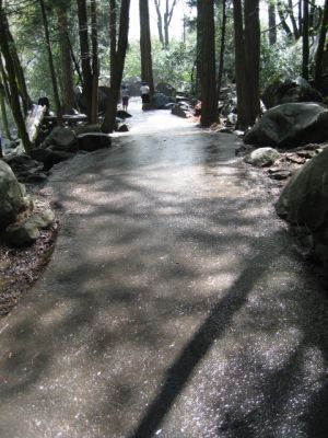 Weg zum Bridalvail Fall
