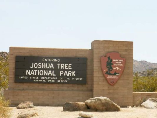 Joshua Tree
Oasis Visitor Center
