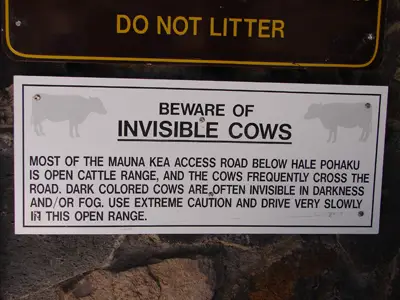 Invisiblecows.jpg