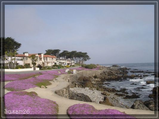 Monterey
