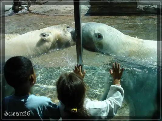 San Diego Zoo
