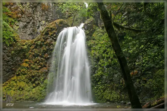 Fall Creek Falls, OR
