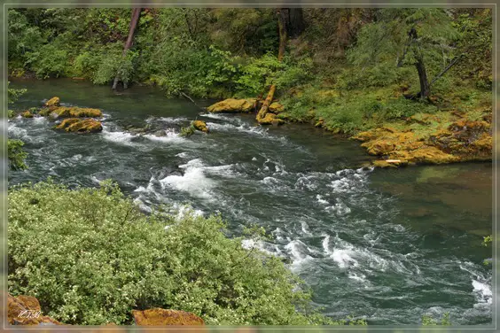 Umpqua River, OR
