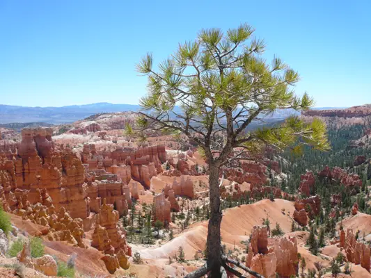 Bryce Canyon NP
