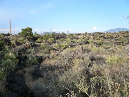 Valley of fires, NM
