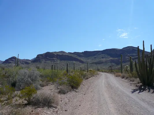 Organ Pipe NM
