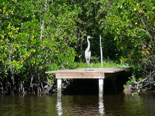 Everglades NP
