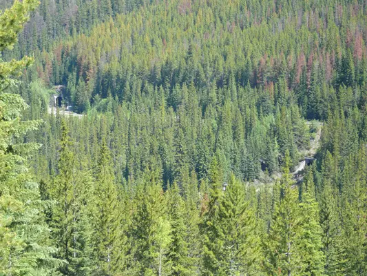 Yoho NP - Spiraltunnel
