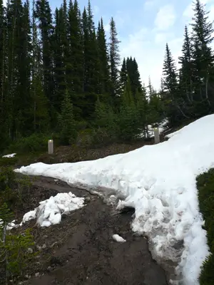 Parker Ridge Trail
