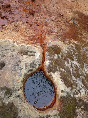 Wells Gray - Rays Mineral Spring
