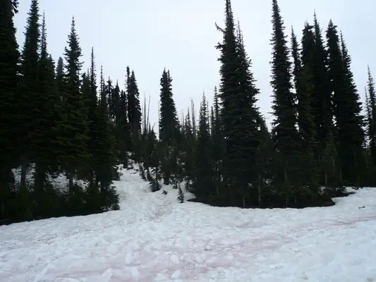 Revelstoke NP
