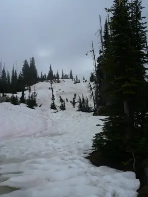 Revelstoke NP
