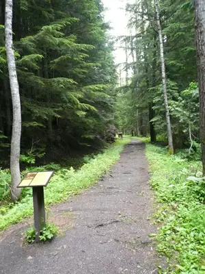 Glacier NP
Entlang der alten Zugstrecke
