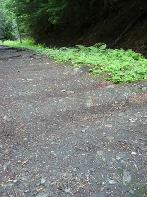 Glacier NP 
hier lagen mal Bahnschienen!
