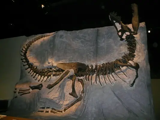 Drumheller Dino Museum
