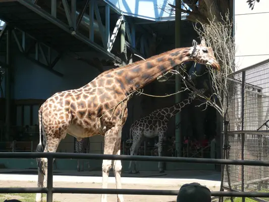 Calgary Zoo
