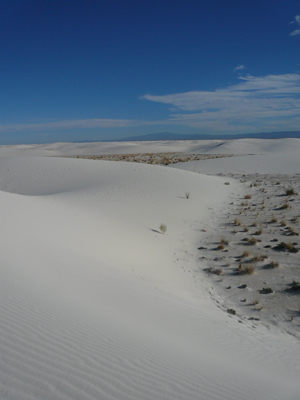 White Sands
