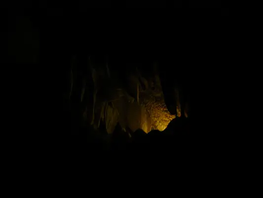 Carlsbad Caverns
