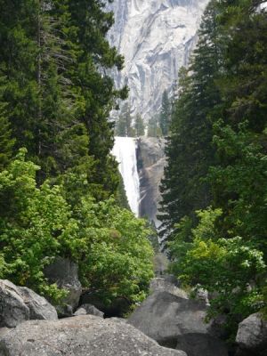 Yosemite NP
