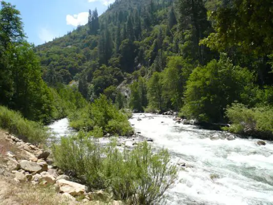 Kings Canyon NP
