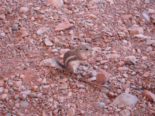 Valley of Fire
