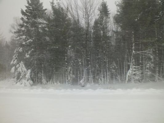 Schnee in Maine
