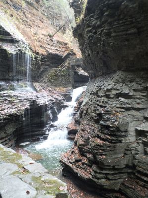 Watkins Glen SP
