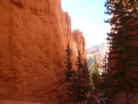 Bryce Canyon NP (Navajo Trail)
