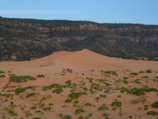 Sand Dune SP
