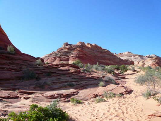 Coyote Buttes
