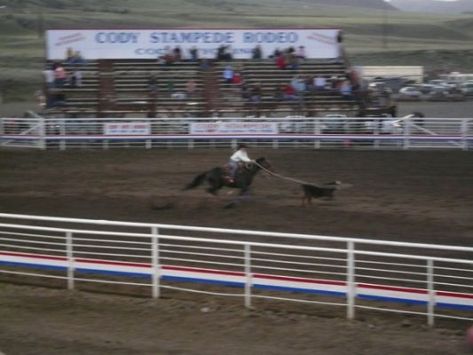 Rodeo in Cody, Wyoming
