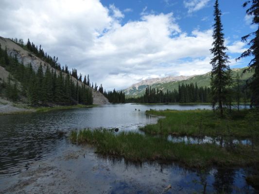 Denali NP
