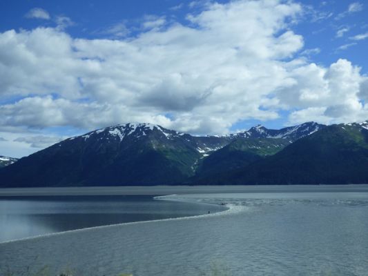 Turnagain Arm
