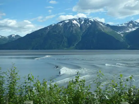 Turnagain Arm
