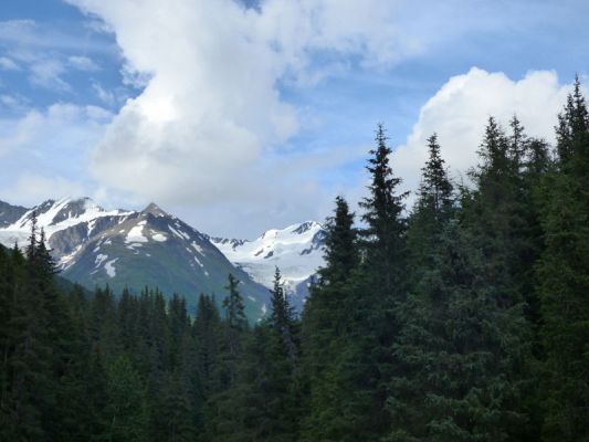 Winner Creek Trail
