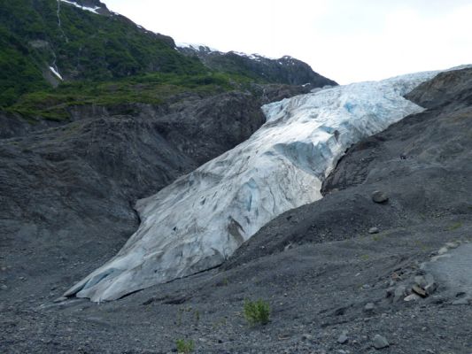 Exit Glacier
