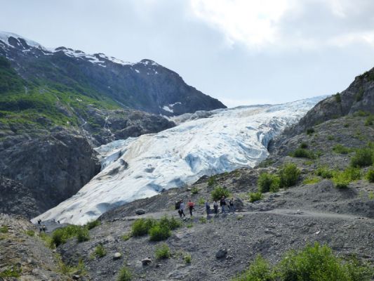 Exit Glacier
