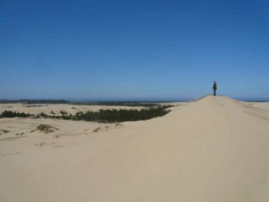 Oregon Dunes
