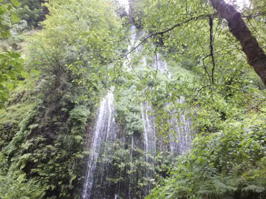 Multnomah Falls
