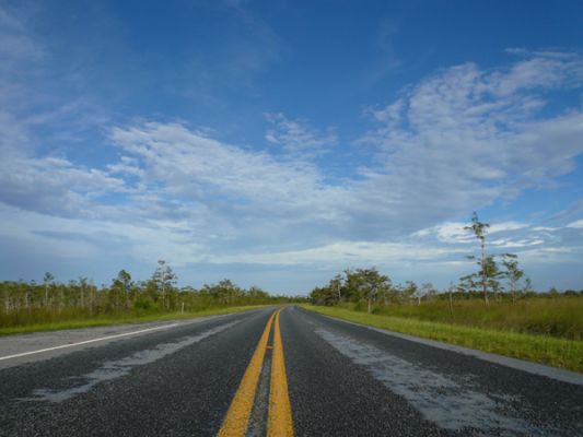 Everglades NP
