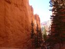 Bryce Canyon NP (Navajo Trail)