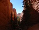 281_Bryce_Canyon.jpg