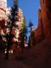 282_Bryce_Canyon.jpg