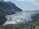 Exit Glacier