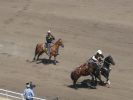 Calgary Stampede Rodeo