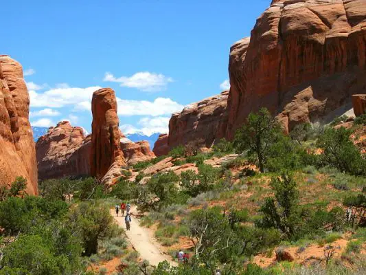 ohne Arch
wunderschöne Wanderwege im Arches Nationalpark zwischen den vielen Felsbögen (Arches)
