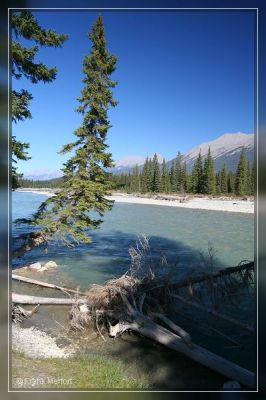 Kootenay River
